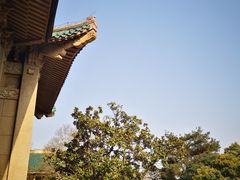 -武汉大学-樱园