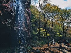 -四明山国家森林公园