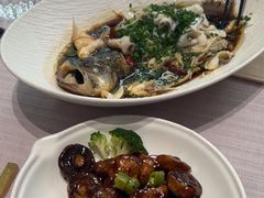 -龙猫意杯花园餐厅(芙蓉湖店)