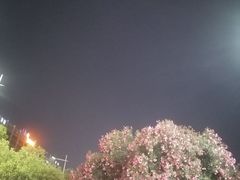 -轩记海鲜餐厅·四十五年老字号·经典粤菜(西区彩虹店)