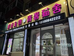 -青奢宠物·青奢猫舍