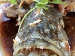 -QQ海鲜餐厅