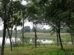 -东郊湿地公园