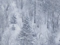 -亚布力新体委滑雪场