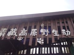-青藏高原野生动物园