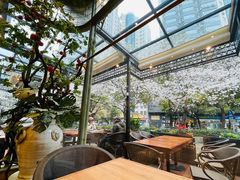 -玛格萝妮比萨屋(四平店)