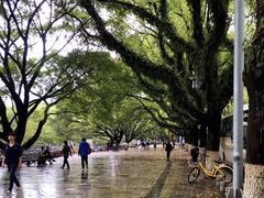 -桂林两江四湖景区