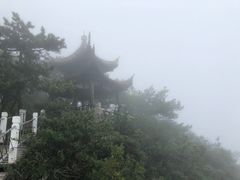 -石老人观光园