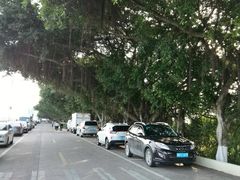 -大湾区中央湿地公园-十九涌