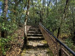 -云南屏边大围山国家公园