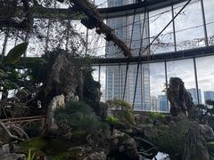 -上海观复博物馆