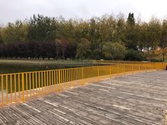 -仁和公园(顺义区)