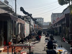-苏州文庙(姑苏区)