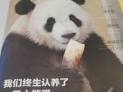-眉州东坡(亚运村店)