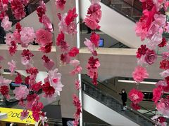 -新世界百货(明洞总店)