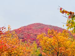 -周口店坡峰岭风景区