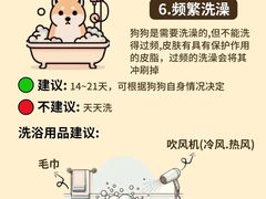 -美联众合动物医院·24h转诊中心