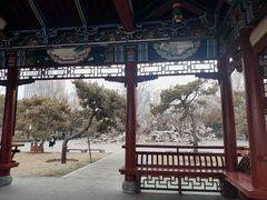 -迎泽公园