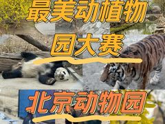 -北京动物园