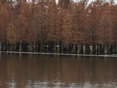 -白鹭湾湿地公园