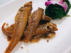 烤籽鱼-金米箩大酒店(五角场店)