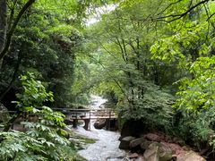 -碧峰峡风景区