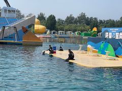 -秦皇岛乐岛海洋王国