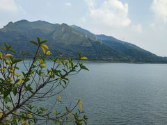 -羚羊峡古栈道森林公园