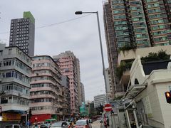 -油麻地果栏