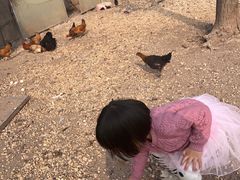 -甜心庄园·甜心草莓采摘园(西青中北店)