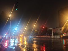 -阿捡忭京炸鸡(韭菜园总店)