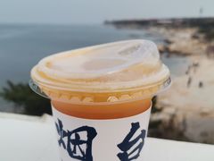 -海岛日记(养马岛店)