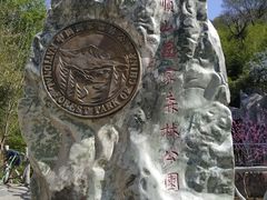 -王顺山国家森林公园