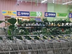 -大润发(张江店)