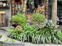 -青城甲(青城山店)