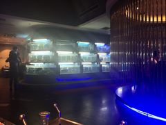 -王家渡火锅店(棕榈泉店)