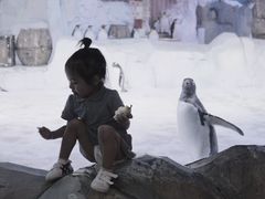 -芜湖新华联大白鲸海洋公园