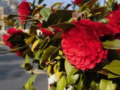 -苏州河梦清园环保主题公园