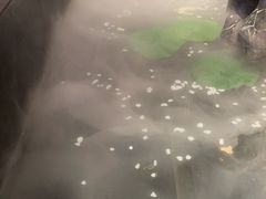 -巴盟人家·内蒙地方菜(华丽家族店)
