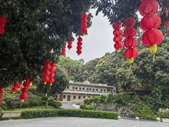 -广州市帽峰山景区