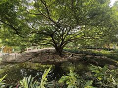 -晓港公园