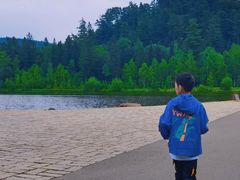 -五营红松林海景区