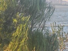 -东湖磨山景区