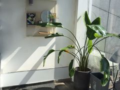 -UNI UNI(环亚凯瑟琳店)