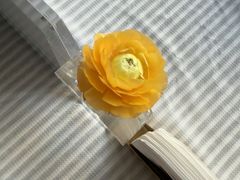 -藕巷金玉·珍品楚菜(光谷之星店)