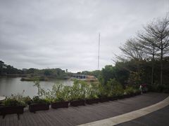-福田红树林生态公园