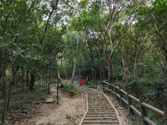 -上海佘山国家森林公园天马山园