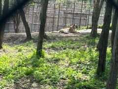 -哈尔滨北方森林动物园