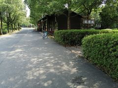 -艾溪湖湿地公园