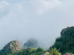 -白草畔自然风景区